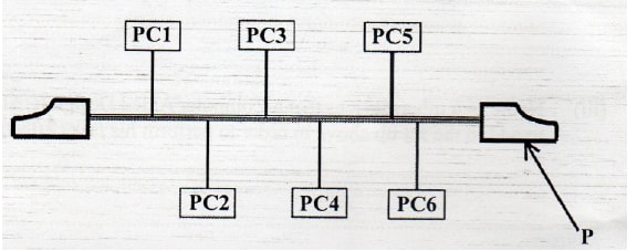 bus topology