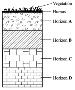 soil profile kcse 2010