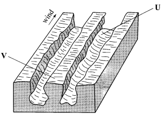 wind erosion kcse 2013