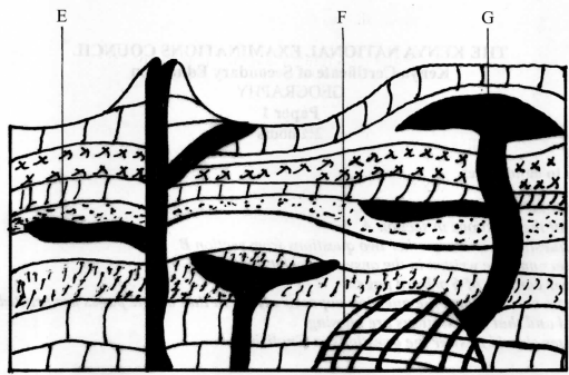 intrusive volcano kcse 2014