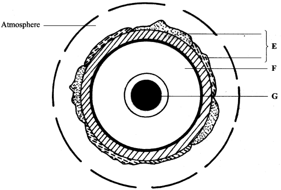 structure of the earth KCSE 2015