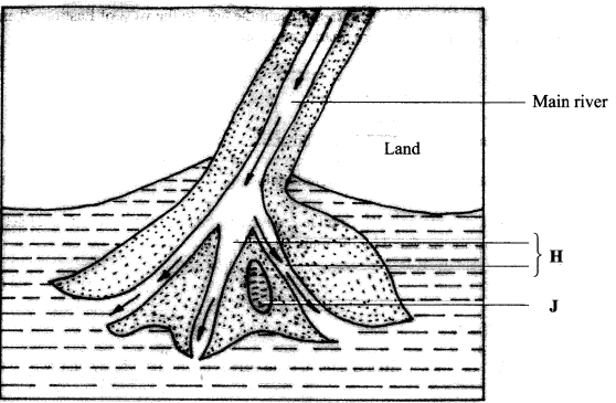 bird foot delta