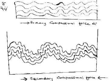 anticlinorium and syclinorium