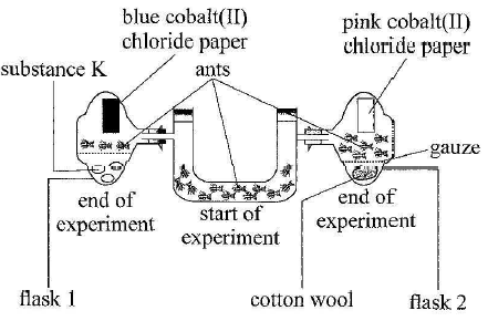 experiment investigation