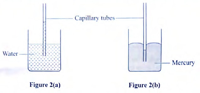 figure 2ab