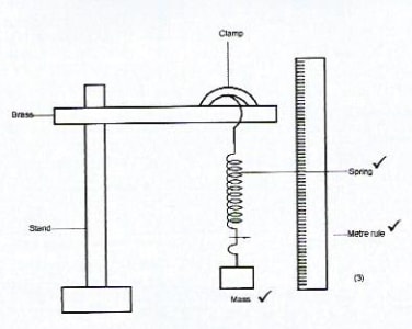 phyp1ms 14