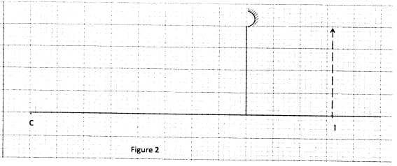 ray diagrams kcse 2013