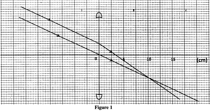 light rays kcse 2014