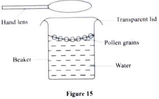 qn18c