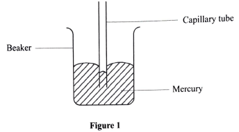 qn 2