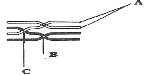 bio111