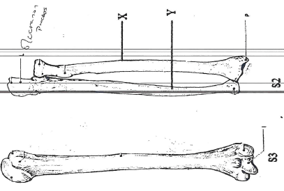 bio32b