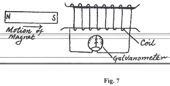 phy217