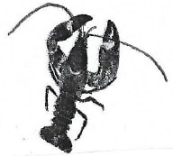 scorpionq18 biop1 maseno