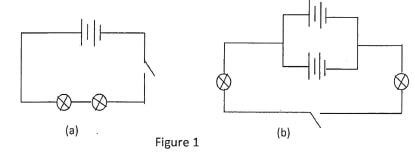 figure 1 kjgaydg