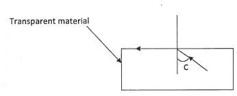 figure 7 jaguydha