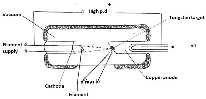 05PhycPP2q13