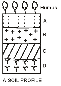 p1 q10b