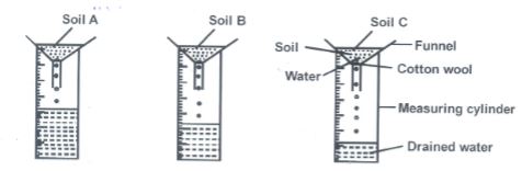 AgriMEcp1q19