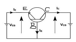 EleMEcp1q3b