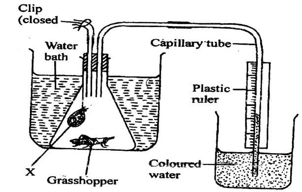 biomerp2q2