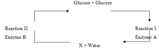 06 bio west p1q14