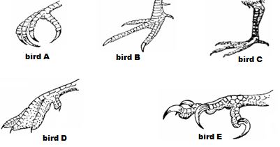 06 bio west p1q23