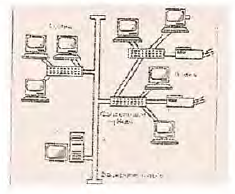 network topology bunyore maranda mocks