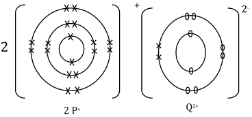 dot and cross diagrams mock questions and answers