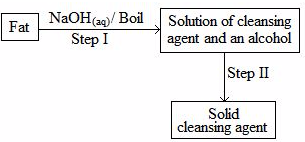 cleansing agent mocks questions and answers