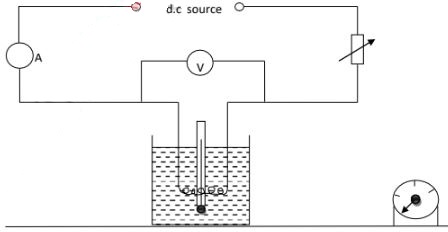 marphyp1q12b