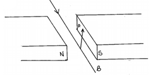 SekphycP2A12a