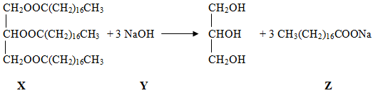 sukchempp1q12