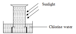 sukchempp1q21