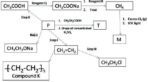 sukchempp2q6