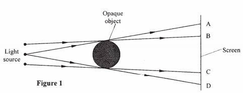 nature of shadows kcse 2008