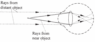 rays kcse 2008