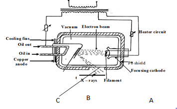 phyc14fret