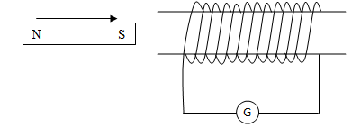 phyc17bfret