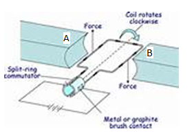 phyc6fret