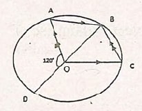 pp1q8