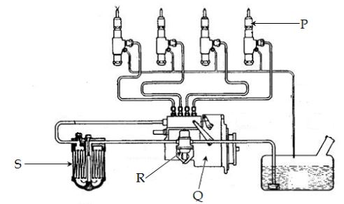 22PwrMchP1q6