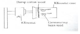 KapPreMBiop2q2