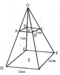 KapPreM Mathp1q23