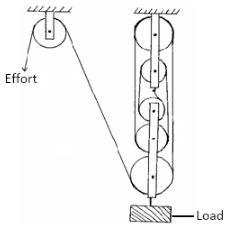 KapPreM Phycp1q5