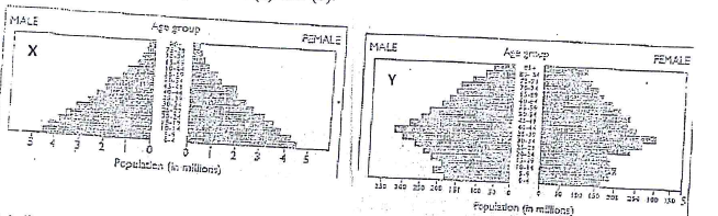 age sex pyramids