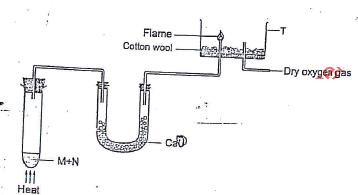 ammonia experiment