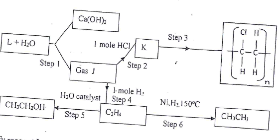 carbon flowchart