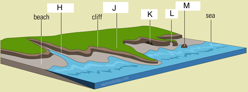 coastline landform features