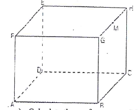 cuboid area